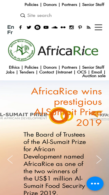 africarice.org