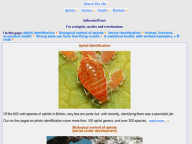 'influentialpoints.com' screenshot