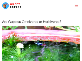 'guppyexpert.com' screenshot