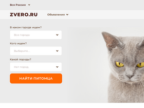 'zvero.ru' screenshot