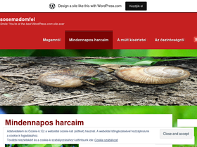 sosemadomfel.wordpress.com