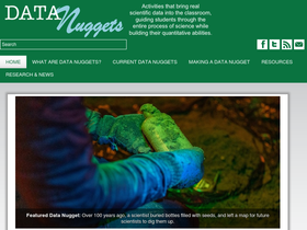 datanuggets.org