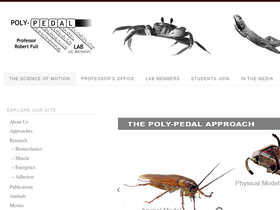 polypedal.berkeley.edu