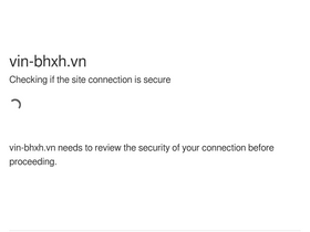 'vin-bhxh.vn' screenshot