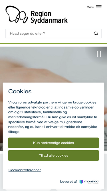 regionsyddanmark.dk