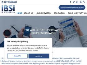 ibsi-us.com