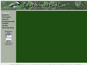 backyardbirdcam.com