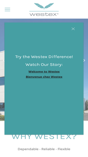 westex-intl.com
