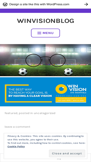 winvisionblog.wordpress.com