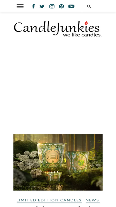 candlejunkies.com