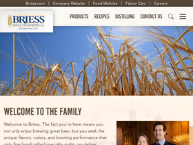 'brewingwithbriess.com' screenshot