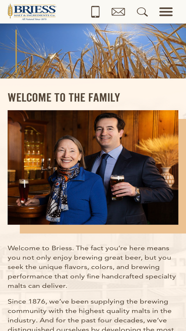 brewingwithbriess.com