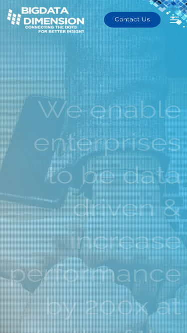 bigdatadimension.com