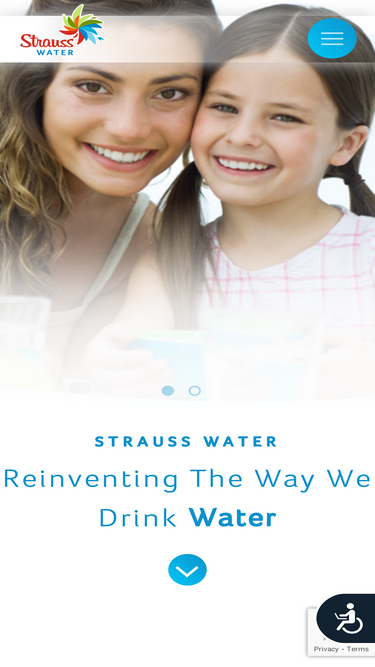 strauss-water.com