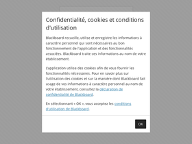 esiee-it.blackboard.com