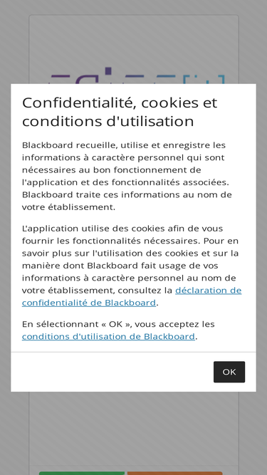 esiee-it.blackboard.com