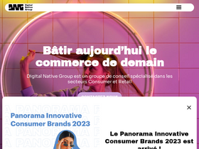 digitalnativegroup.com