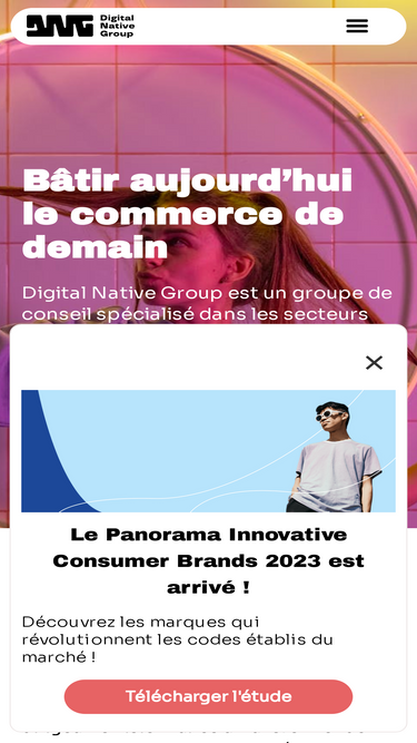 digitalnativegroup.com