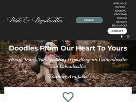 'prideandprejudoodles.com' screenshot