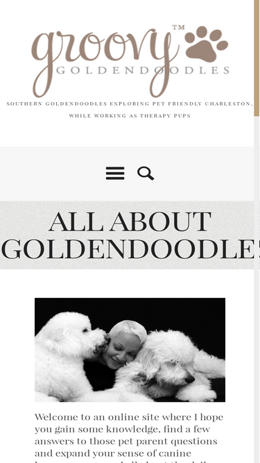 groovygoldendoodles.com
