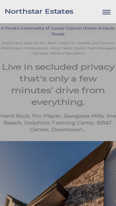 artisticdevelopment.com