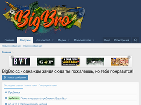 'bigbro.cc' screenshot