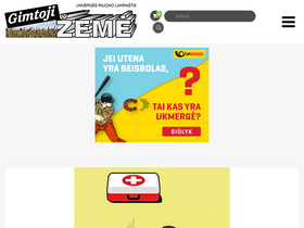 'gzeme.lt' screenshot