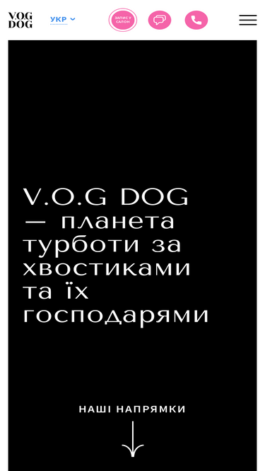 vogdog.com