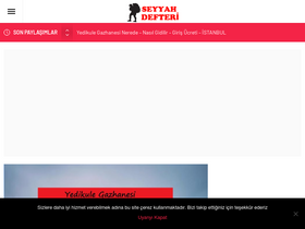 'seyyahdefteri.com' screenshot