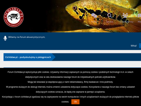 cichlidae.pl