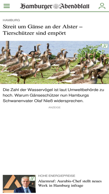 abendblatt.de