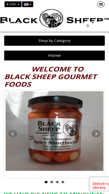 bsgf.com