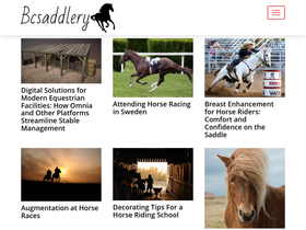 bcsaddlery.com