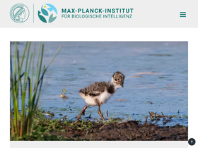 orn.mpg.de
