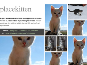 placekitten.com