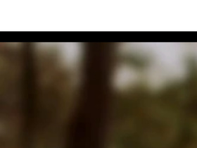 qwincoshop.com homepage screenshot