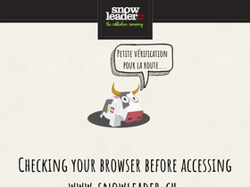 'snowleader.ch' screenshot