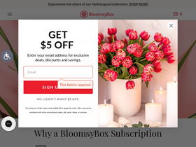 'bloomsybox.com' screenshot