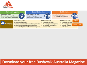 'wildwalks.com' screenshot