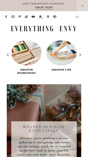 everythingenvy.com