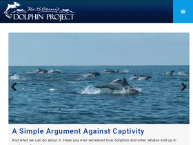 'dolphinproject.com' screenshot