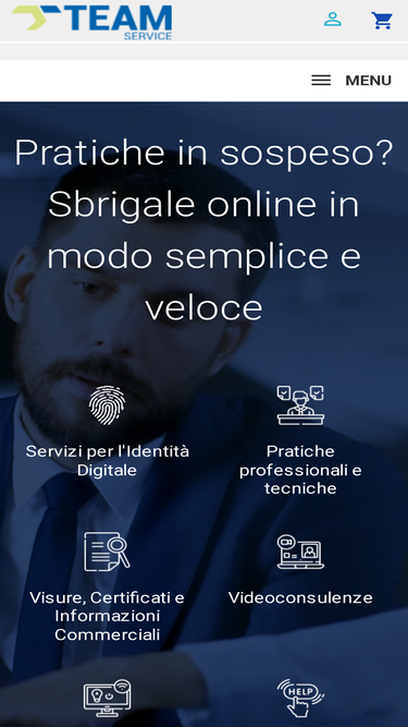 team-service.it