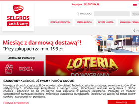 'selgros.pl' screenshot