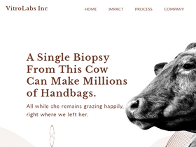 vitrolabsinc.com