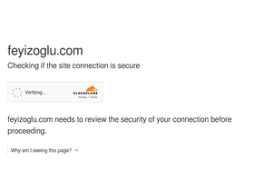 'feyizoglu.com' screenshot