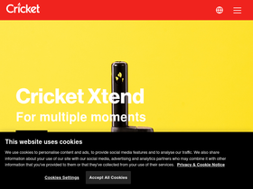 cricketlighters.com