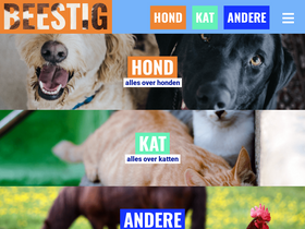 'beestig.be' screenshot