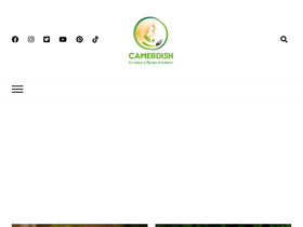 'camerdish.com' screenshot