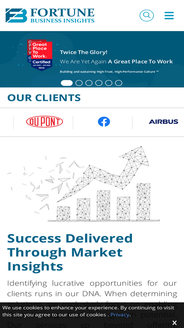 fortunebusinessinsights.com