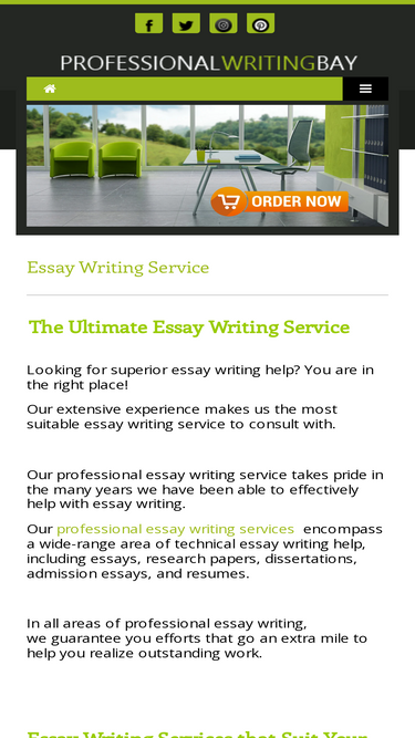 professionalwritingbay.com